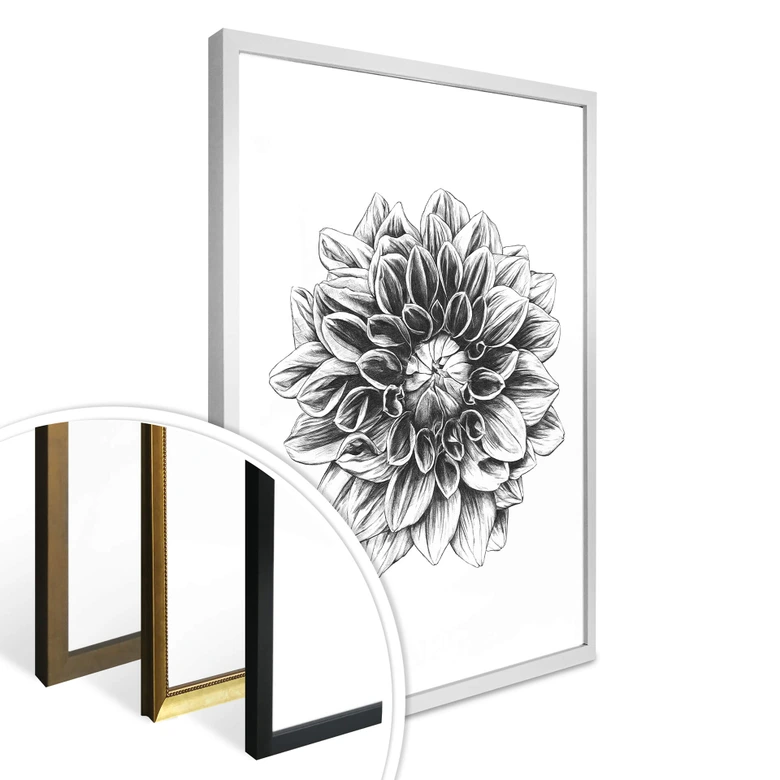 Poster Kools - Dahlia 