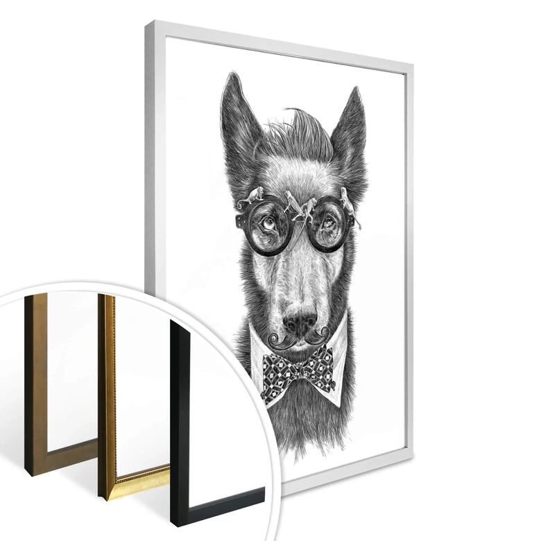 Poster Kools - Docga Bowie 