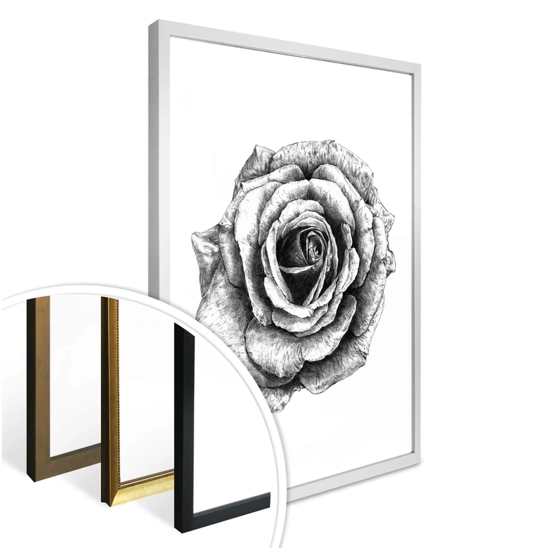 Poster Kools - Rose 