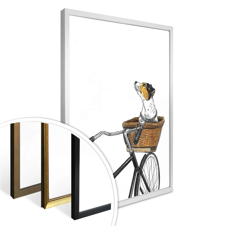 Poster Sparshott - Un chien dans un panier 