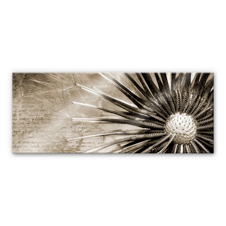 Spritzschutz Pusteblumen-Poesie - Panorama 