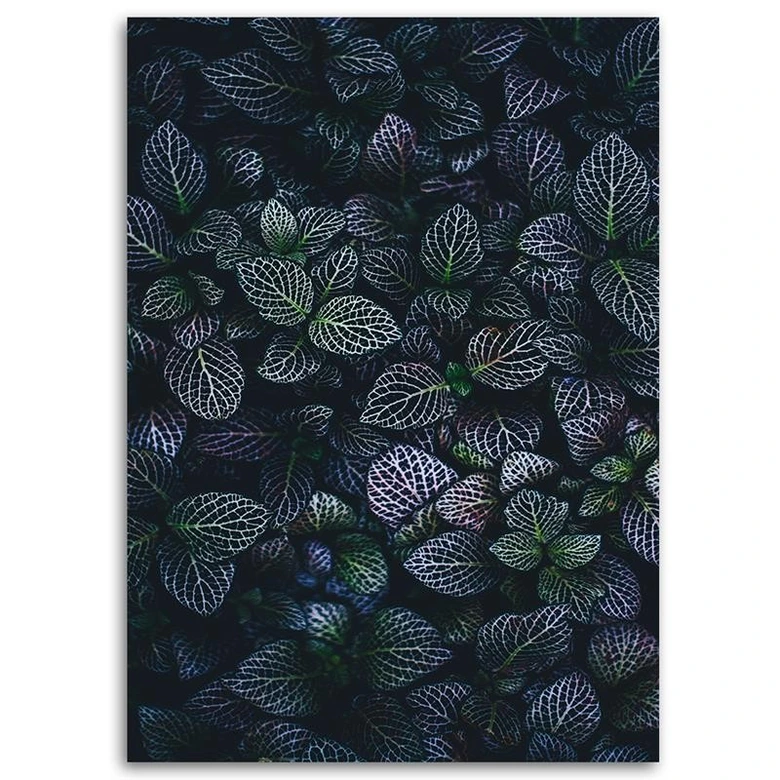 Canvasbillede, Blade af eksotiske planter 