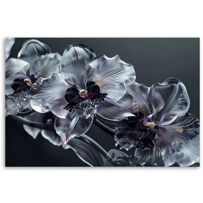 Canvasbillede, Sorte og hvide blomster i blomst 