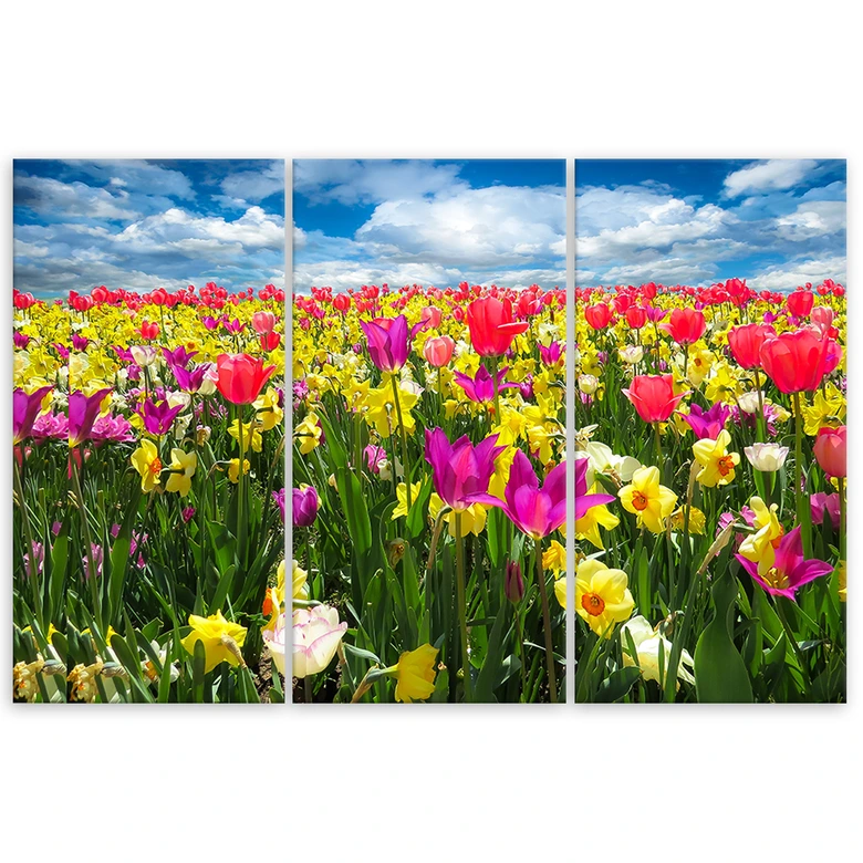 Leinwandbild 3-teilig, Bunte Tulpen Blumen Natur 