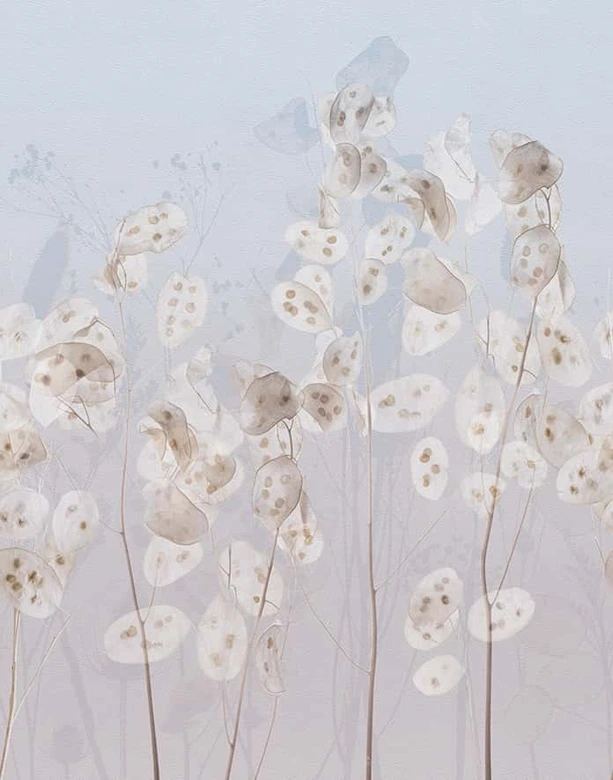 Fototapete Blumen, Blätter Floral Natur, Modern in Blau 