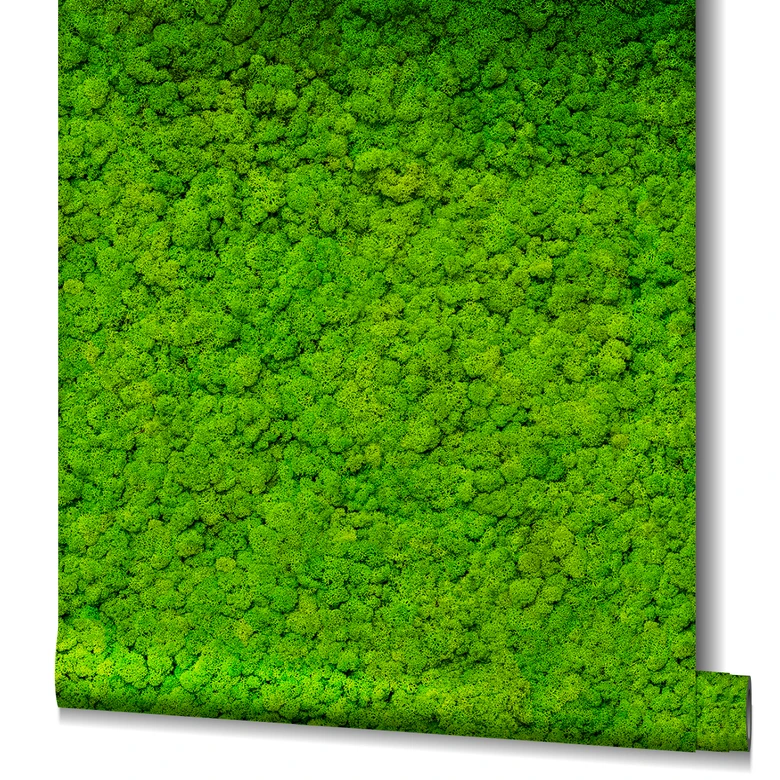 Papier peint intissé vert floral pour salon cuisine bureau papier peint marburg 