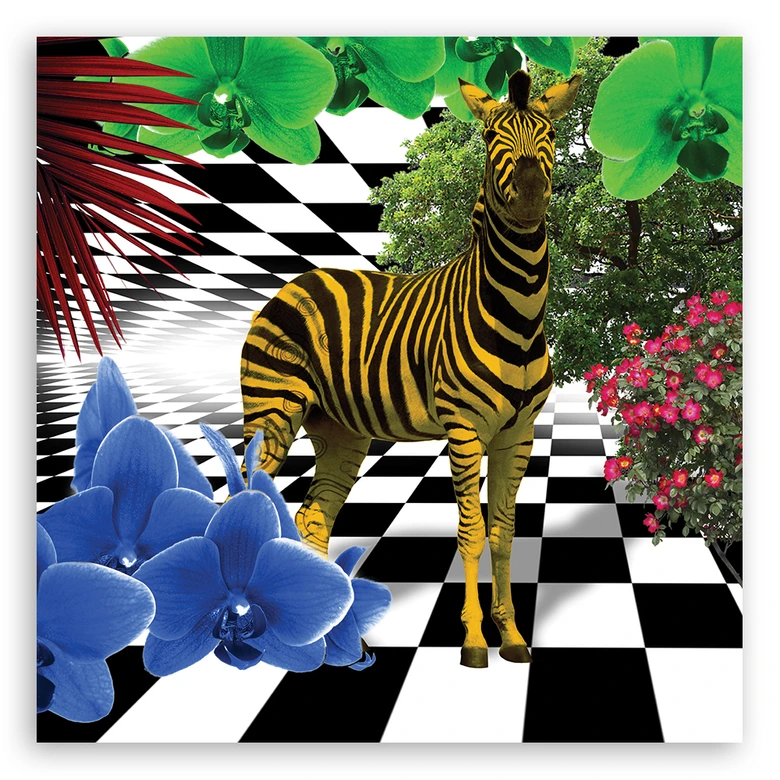Canvas schilderij, Kleurrijke zebra dieren 