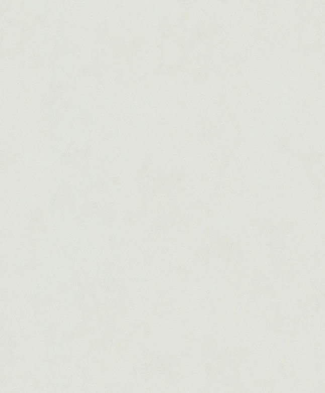 Vliestapete Betonoptik Putzoptik Uni matt in Beige  