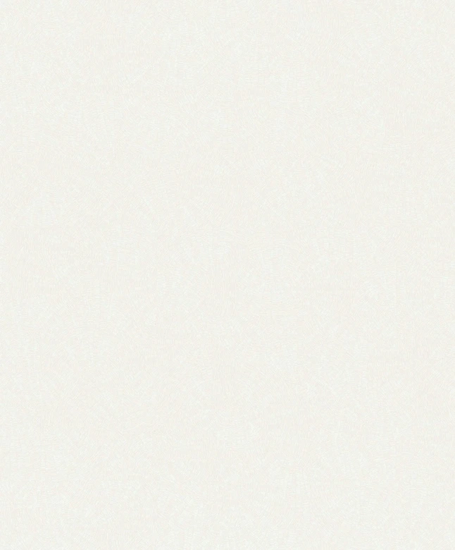 Vliestapete Struktur Grafisch Geometrisch matt in Weiß  