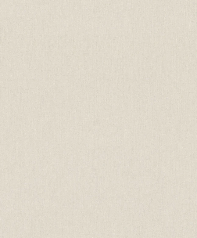 Vliestapete Struktur Putzoptik Uni matt in Beige  