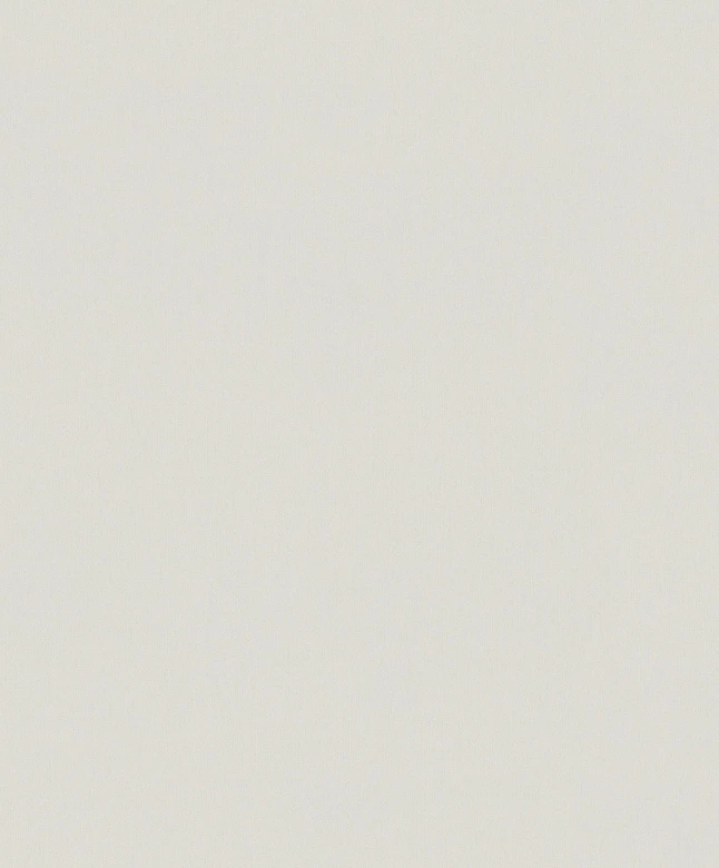 Vliestapete Betonoptik Uni Modern matt in Beige  