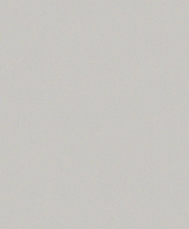 Vliestapete Betonoptik Uni Modern matt in Grau  