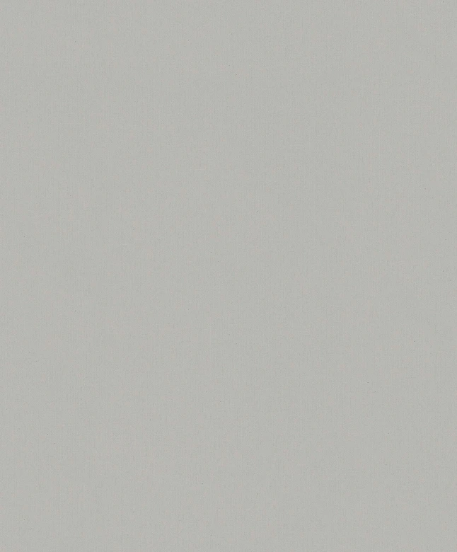 Vliesbehang betonlook effen modern mat in grijs  