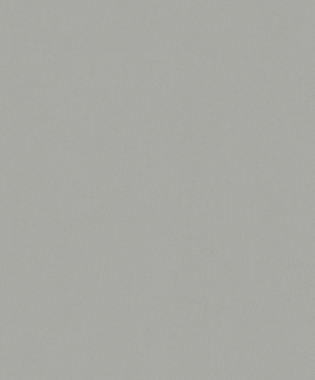 Vliestapete Betonoptik Uni Modern matt in Grau  