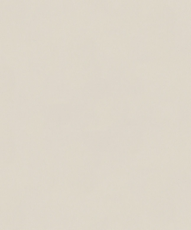 Vliestapete Betonoptik Uni Modern matt in Beige  