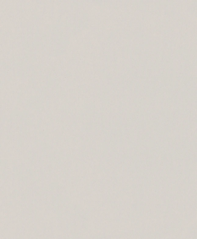 Vliestapete Betonoptik Uni Modern matt in Beige  