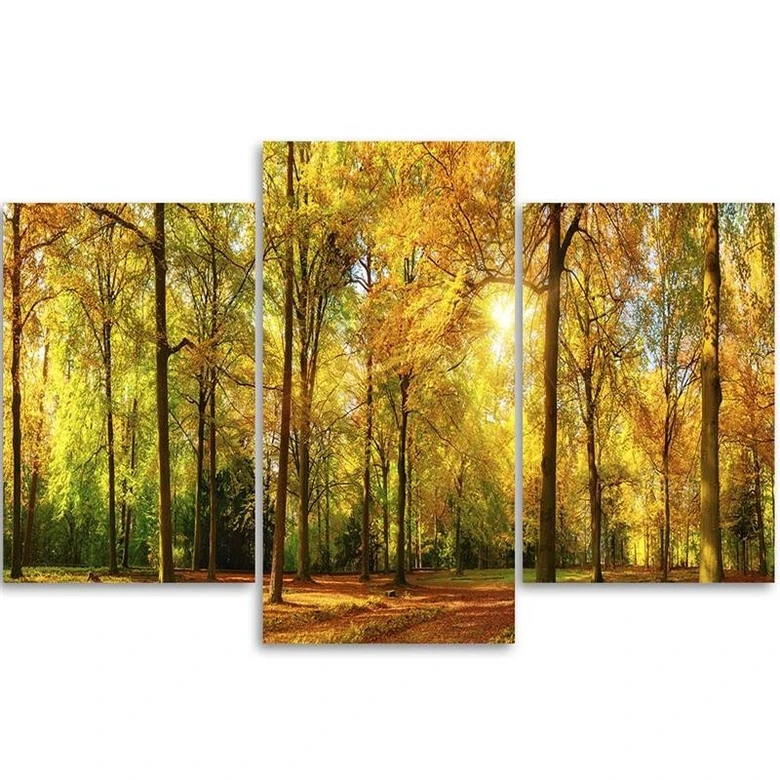 Leinwandbild 3-teilig, Wald Baum Herbst Gelb 