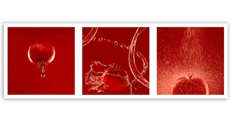 Leinwandbild, Tomate Gemüse 