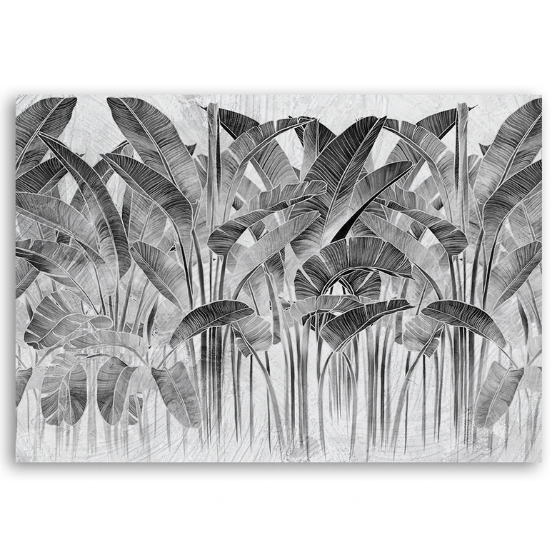 Tableau sur toile, Feuilles de bananier grises 