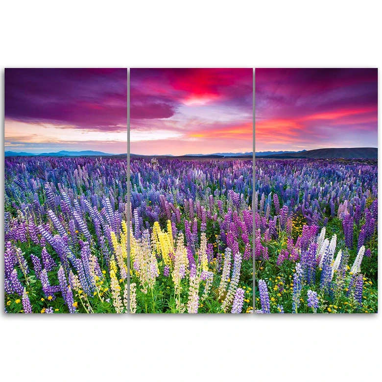 Leinwandbild 3-teilig, Lavendelfeld Natur 