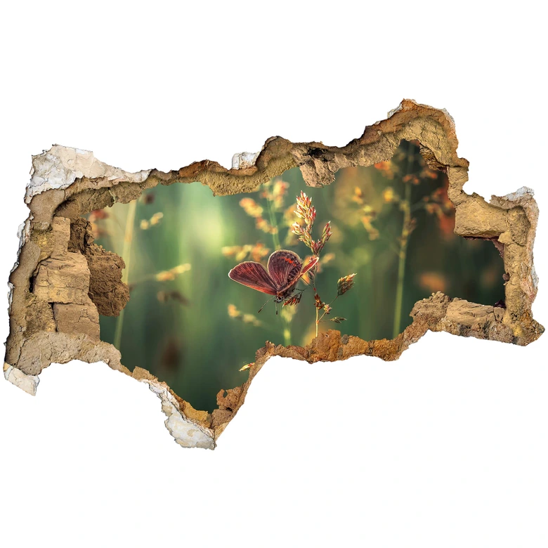 3D Muursticker Vinogradof - Butterfly 