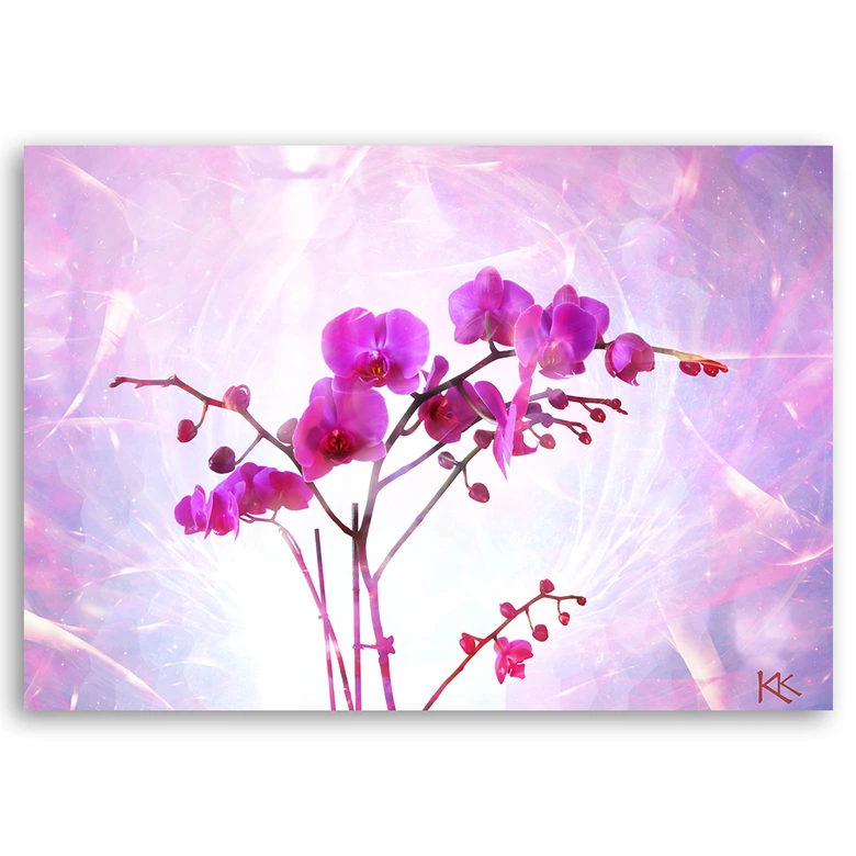 Leinwandbild, Orchidee Blumen Zen Spa 