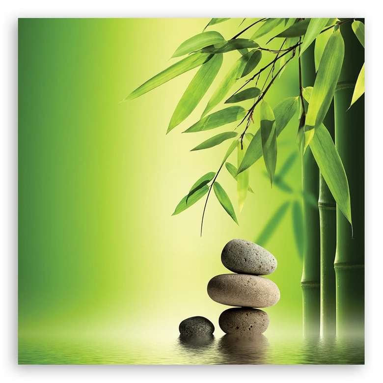 Leinwandbild, Zen Bambus Steine Pflanzen 