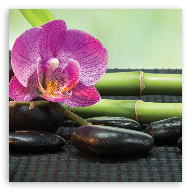 Leinwandbild, Orchidee auf schwarzen Steinen 