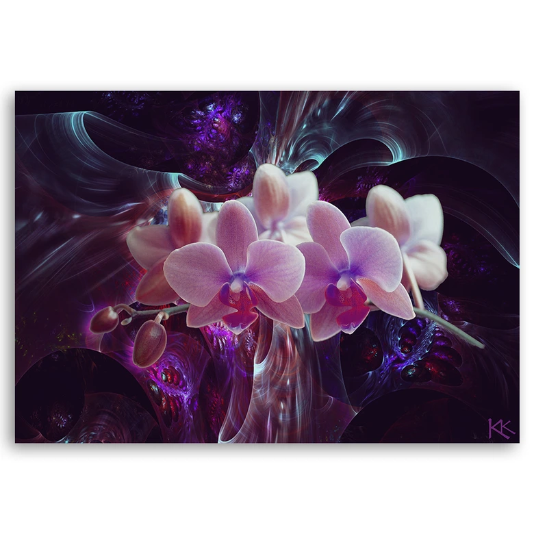 Leinwandbild, Weiße Orchidee  Blumen Pflanzen 