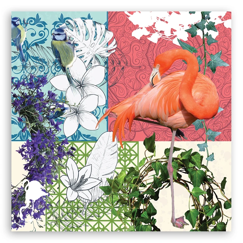 Leinwandbild, Flamingos Vögel collage 