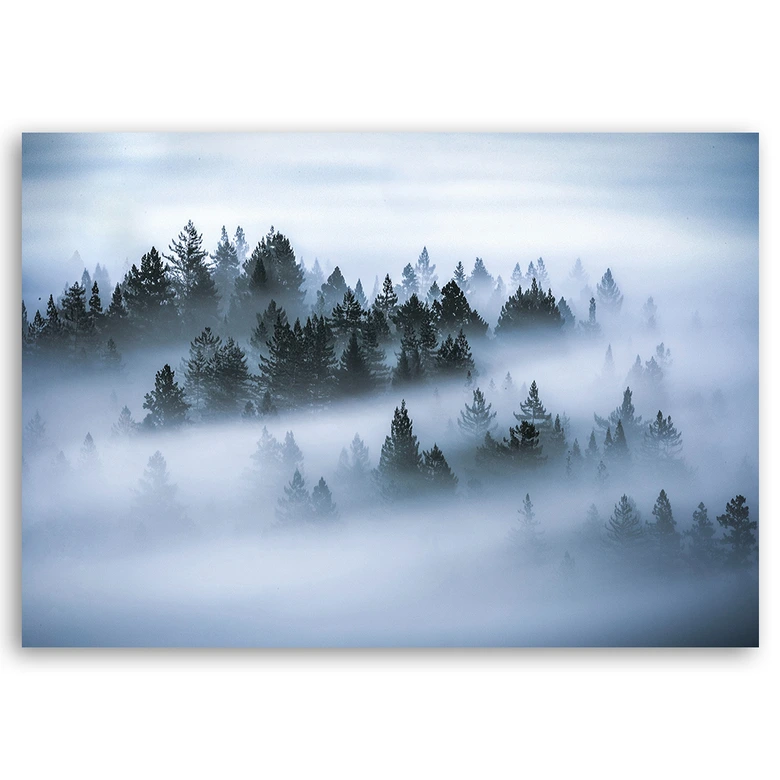 Leinwandbild, Wald im Nebel 