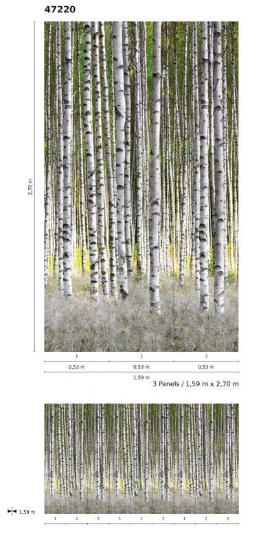Fototapete mit Birken im Wald Weiß, Grün ,Floral 2,70 x 1,59 m 