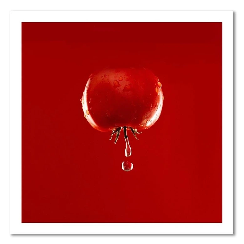 Leinwandbild, Tomate Gemüse 