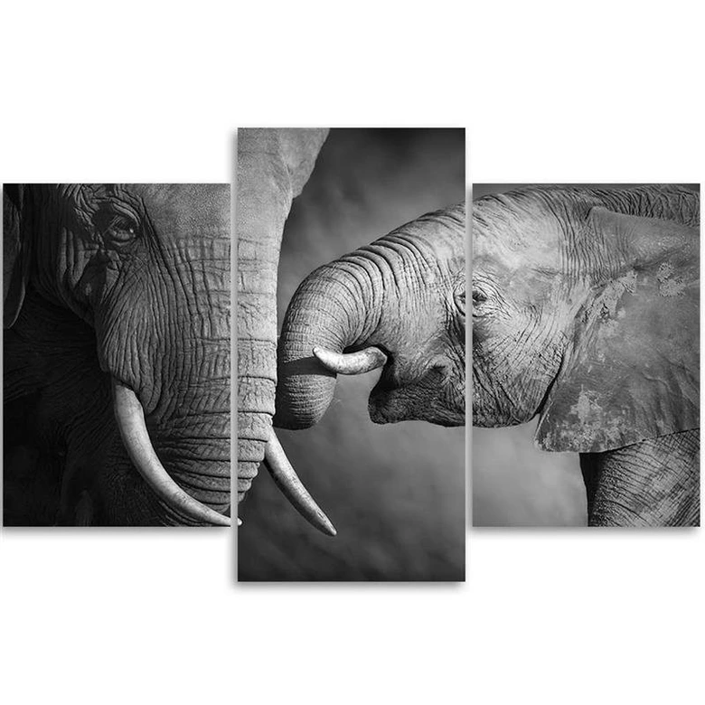 Leinwandbild 3-teilig, Elefant Schwarz und Weiß 
