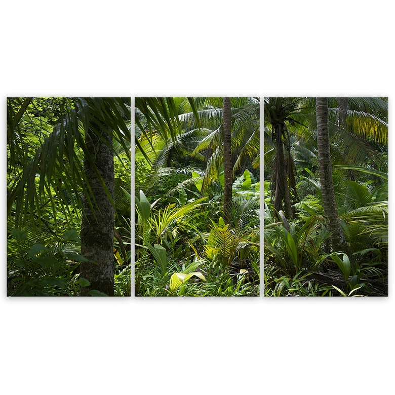 3-delige canvas print Bos Bomen Natuur 