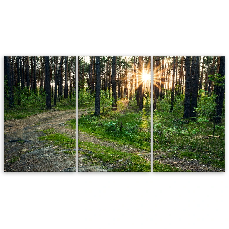 Leinwandbild 3-teilig, Wald Natur Straße Landschaft 