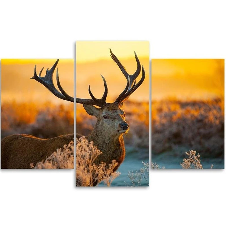 Leinwandbild 3-teilig, Hirsch Tier Sonnenuntergang Natur 