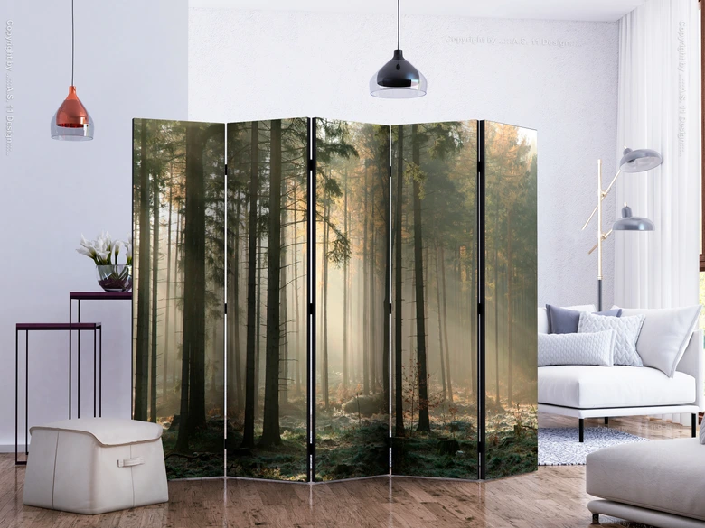Paravent, Raumteiler freistehend, Trennwand - Foggy November morning II, 5-teilig - einseitig bedruckt - 225x172 cm 