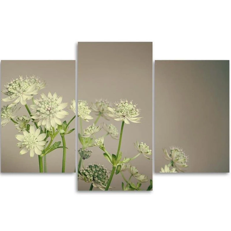 Leinwandbild 3-teilig, Feld Blumen Weiß 
