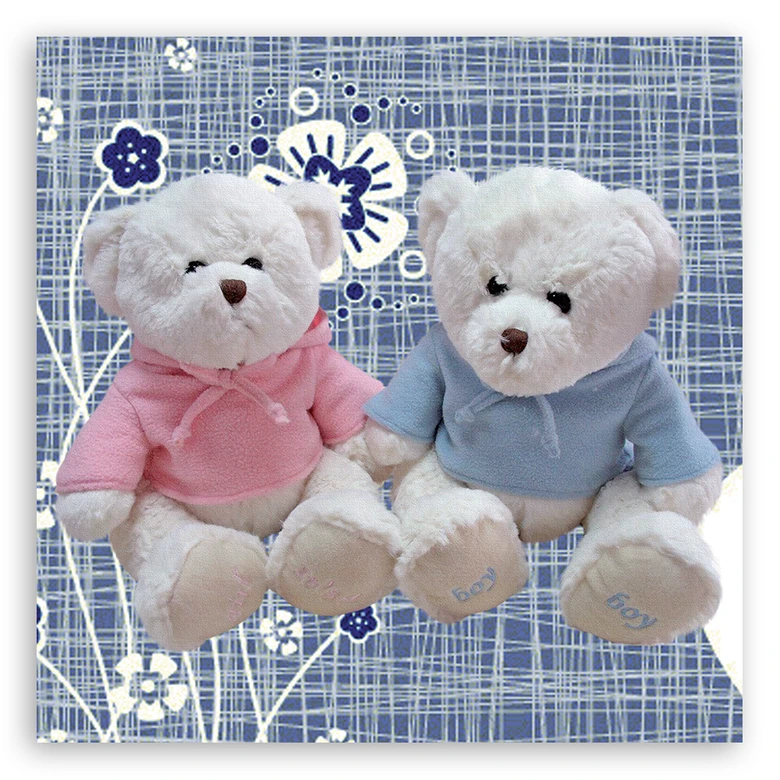 Leinwandbild, Zwei Teddybären 