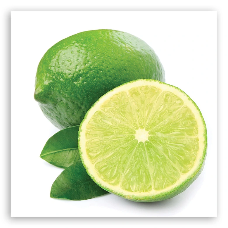 Leinwandbild, Limette Obst 