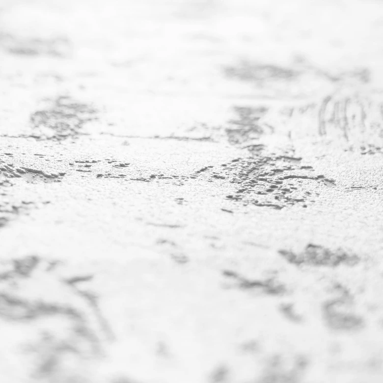 A.S. Création Vliesbehang Meestervlies Pro Protect 2 Wit, overschilderbaar 