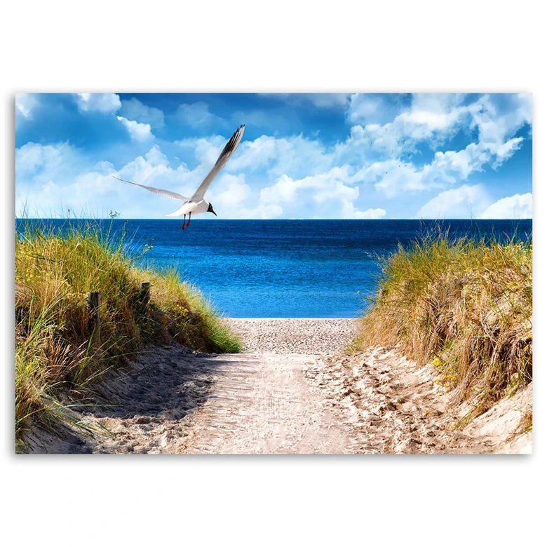 Leinwandbild, Weg zum Strand und eine Möwe 