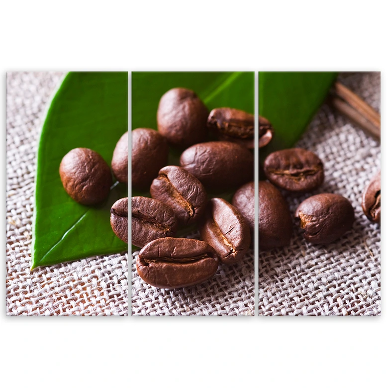 Leinwandbild 3-teilig, Kaffeebohnen-Blatt 