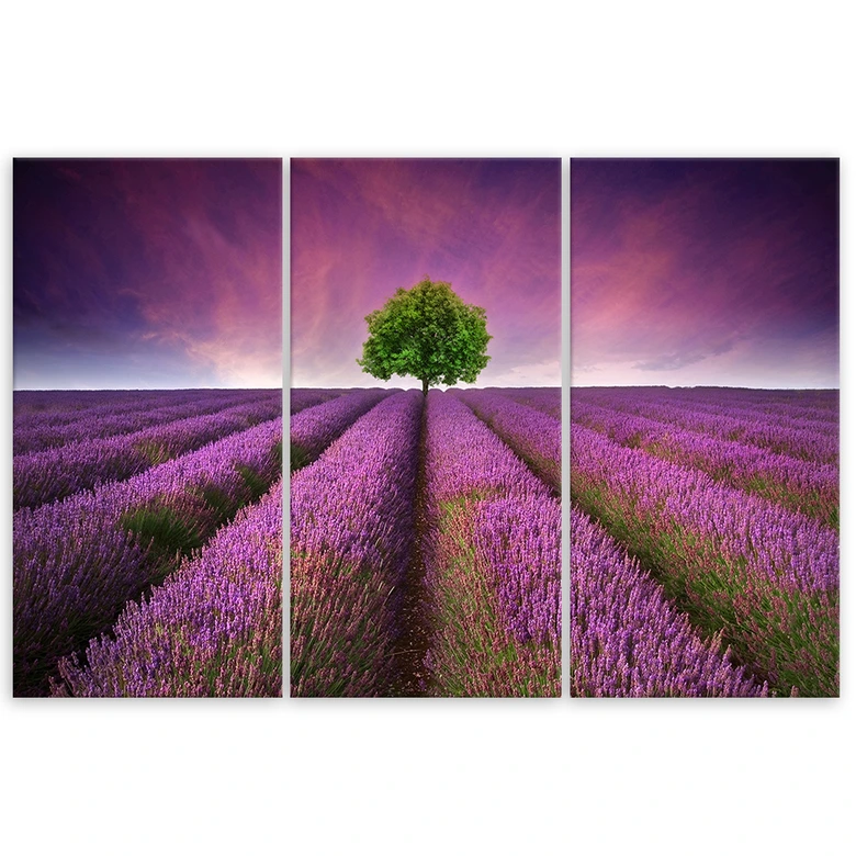 Leinwandbild 3-teilig, Lila Blumenwiese 