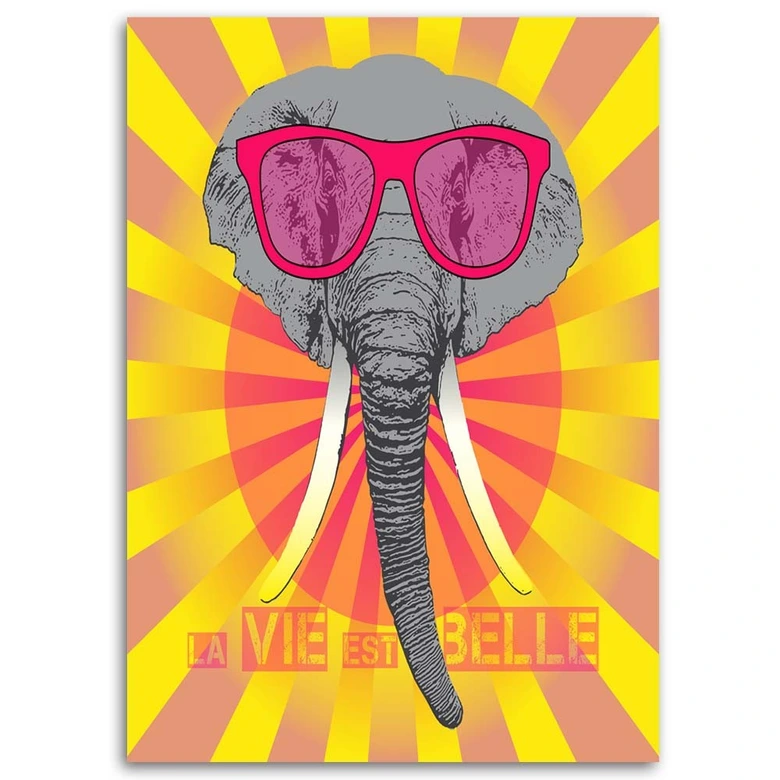 Canvasbillede, Elefant med briller 