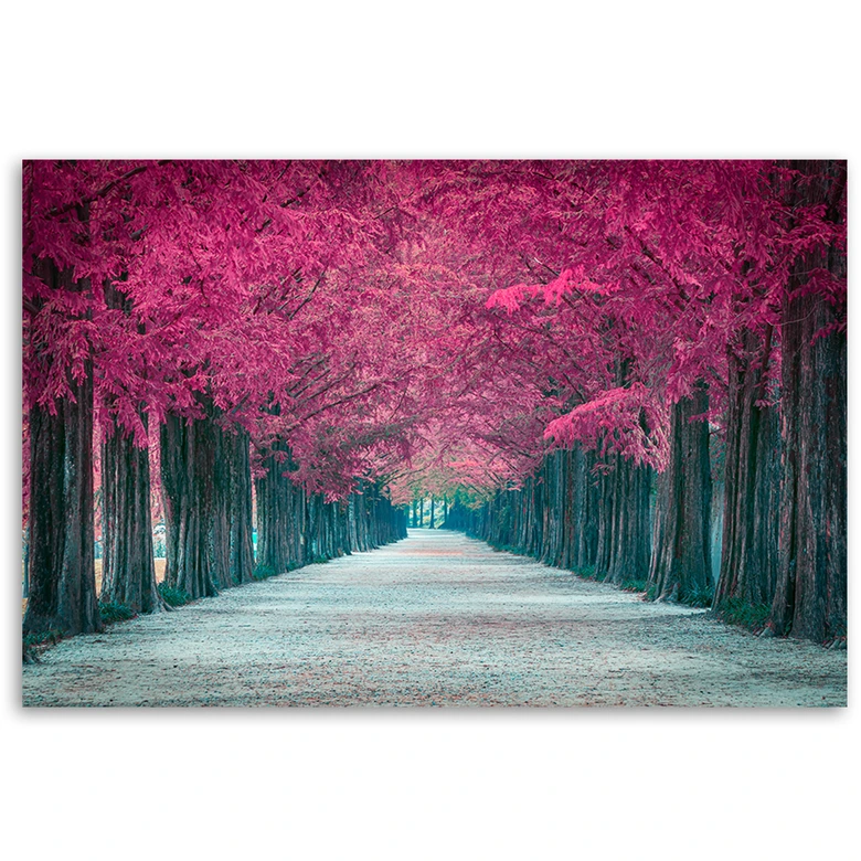 Leinwandbild, Avenue von rosa Bäumen 