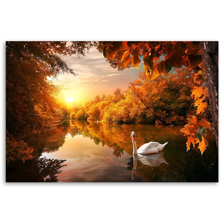 Leinwandbild, Schwan auf dem Teichherbst 