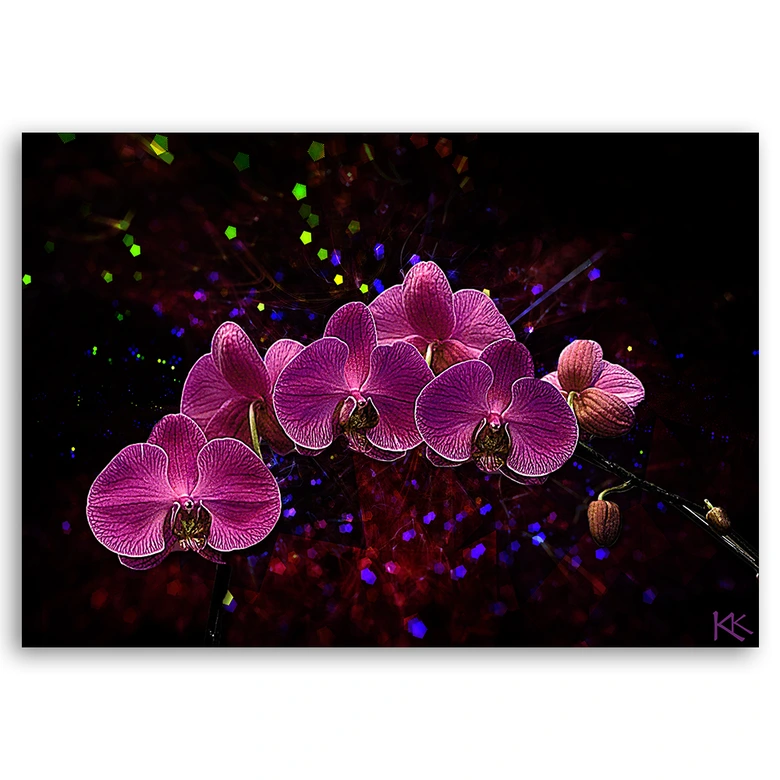 Leinwandbild, Orchidee Rosa Blumen Spa 