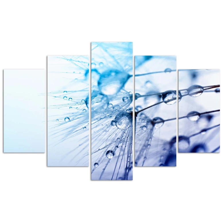 Leinwandbild 5 teilig, Rotscheitel-Laubenvogel 